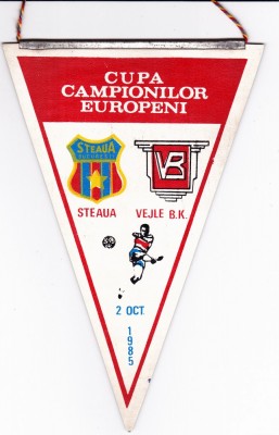 steaua vejle