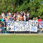 gsp gazeta sefului din pipera tudor octavian