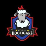 oile lui gigi, fc fcsb hooligans