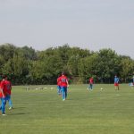 amical Steaua