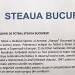 CSA Steaua Bucuresti palmaresul stelei