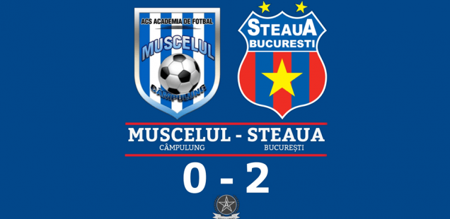 amical muscelul cîmpulung steaua