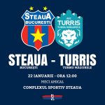 Steaua turris amical