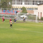 steaua bucurești fc voluntari 2-1