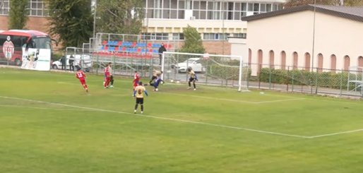 steaua bucurești fc voluntari 2-1